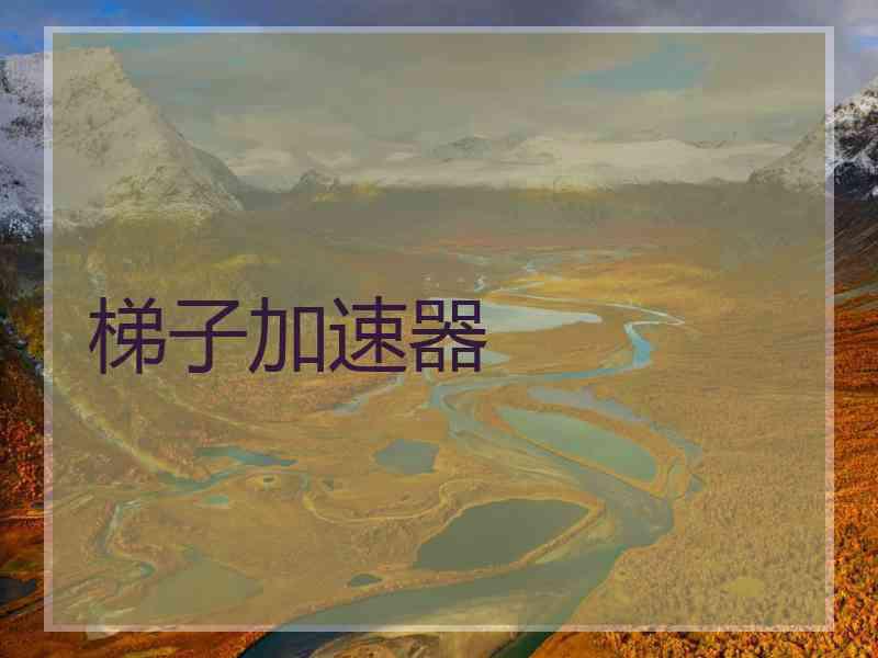 梯子加速器