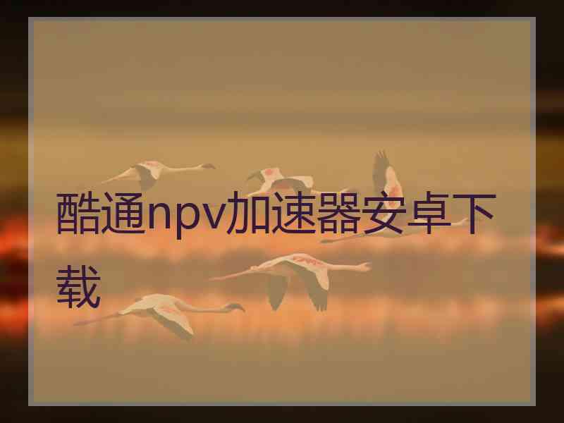 酷通npv加速器安卓下载