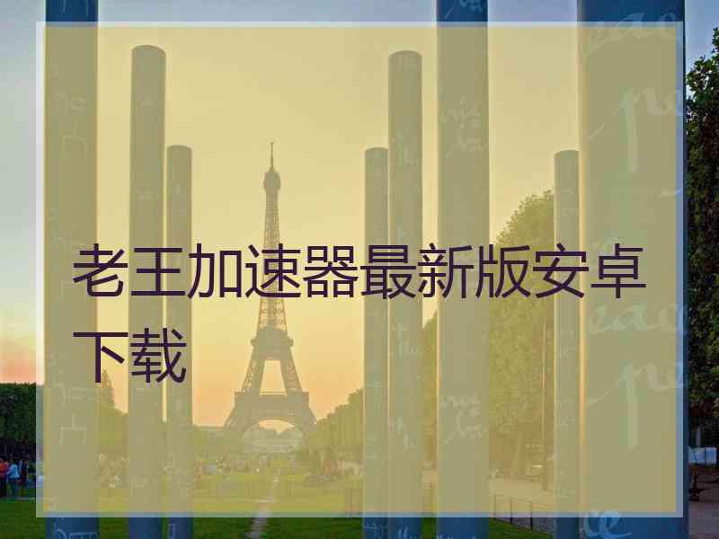 老王加速器最新版安卓下载