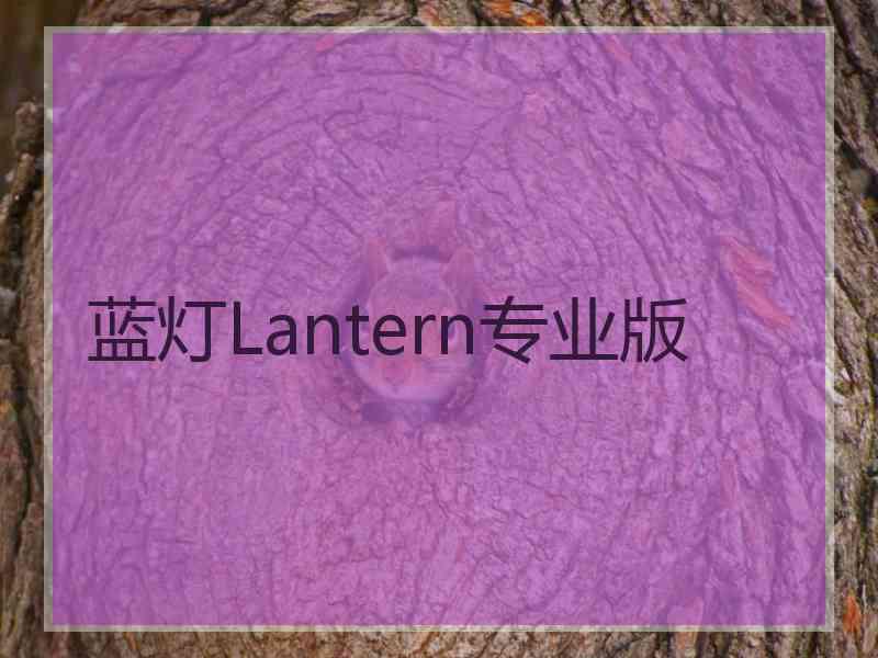 蓝灯Lantern专业版