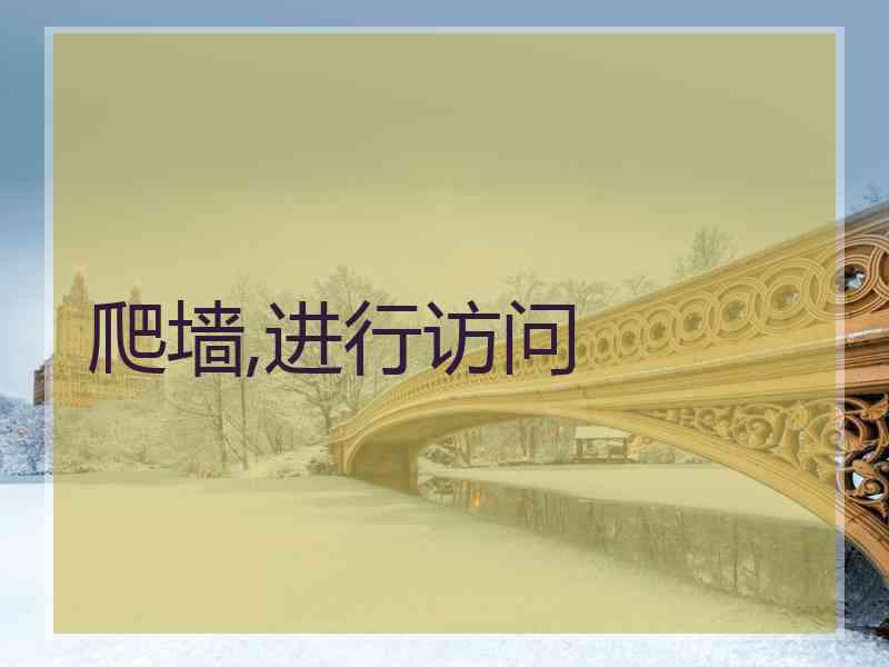 爬墙,进行访问