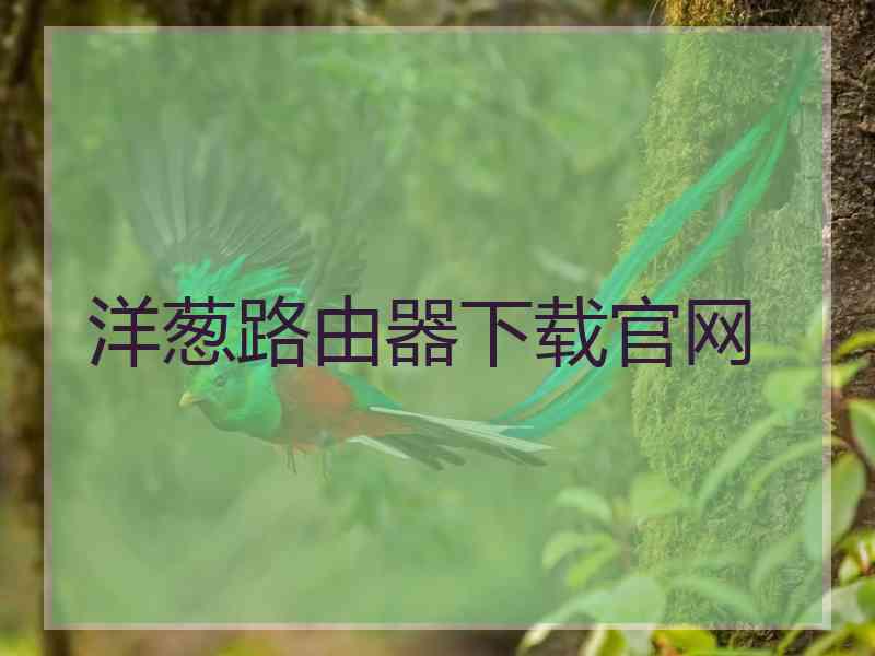洋葱路由器下载官网