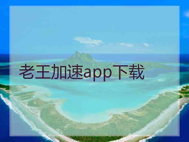 老王加速app下载