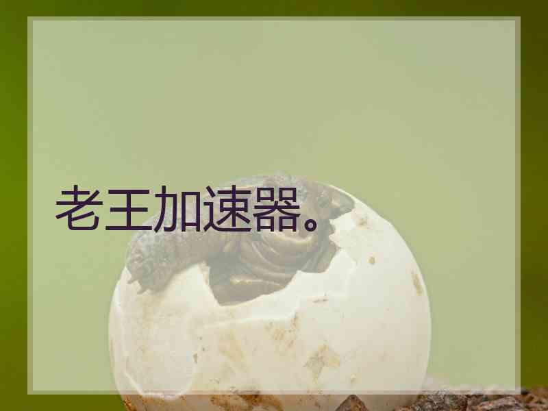 老王加速器。