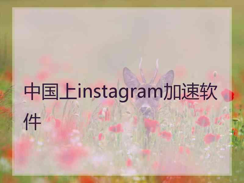 中国上instagram加速软件