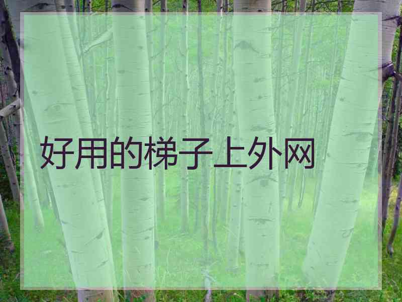 好用的梯子上外网