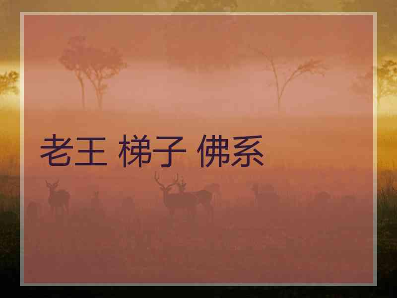 老王 梯子 佛系