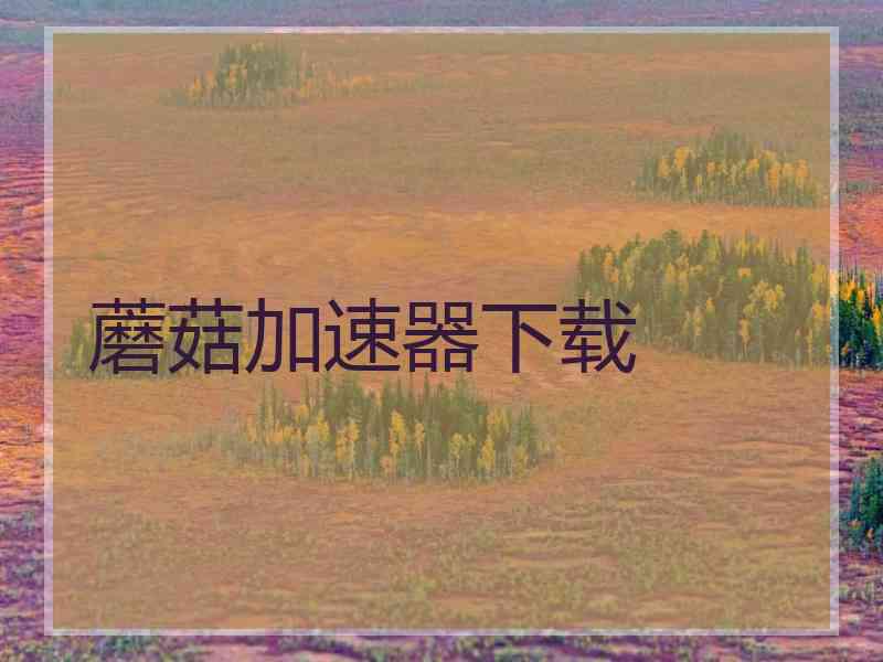 蘑菇加速器下载