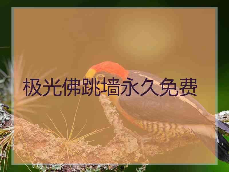 极光佛跳墙永久免费