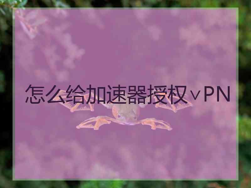 怎么给加速器授权∨PN