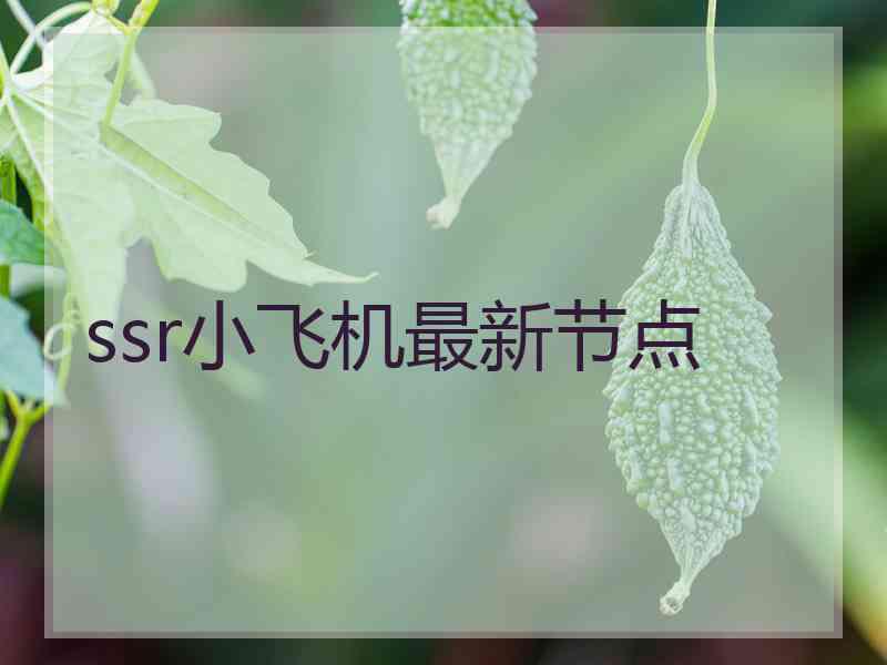 ssr小飞机最新节点