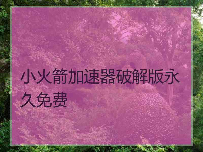 小火箭加速器破解版永久免费