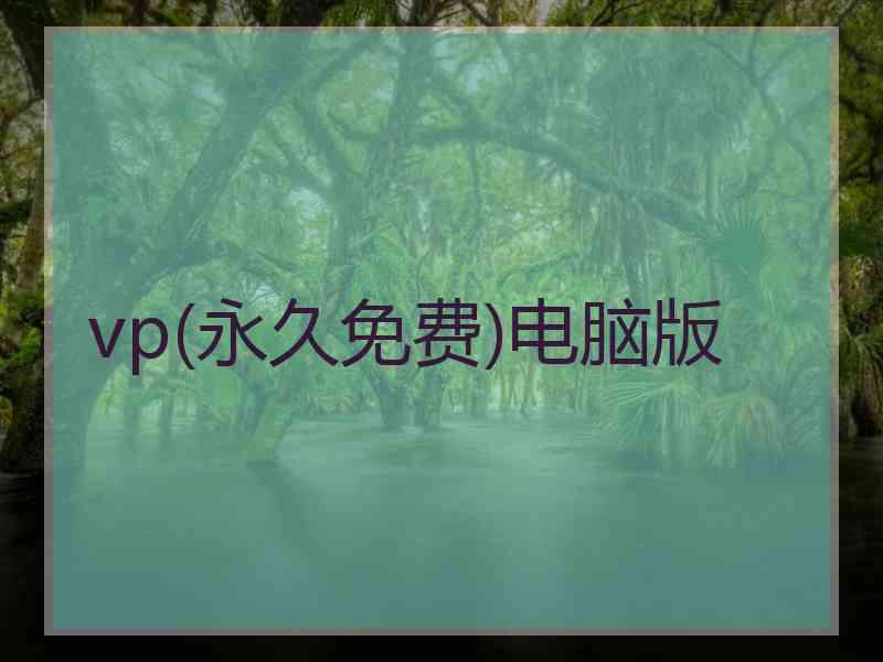 vp(永久免费)电脑版