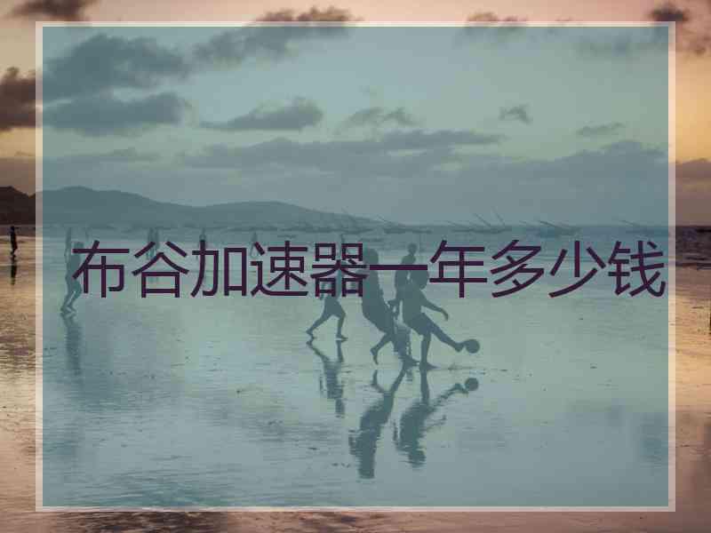 布谷加速器一年多少钱