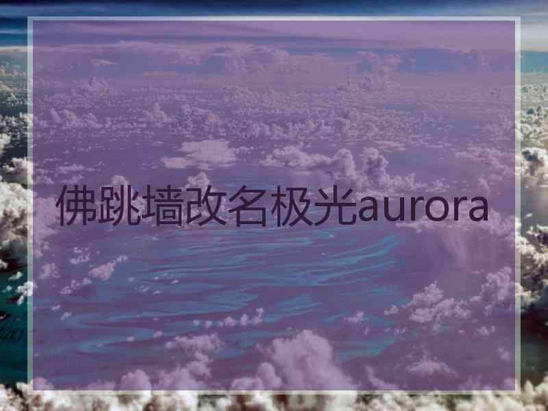 佛跳墙改名极光aurora