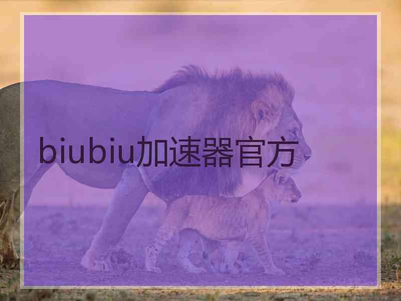 biubiu加速器官方