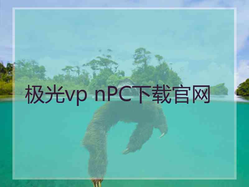 极光vp nPC下载官网