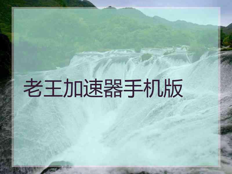 老王加速器手机版