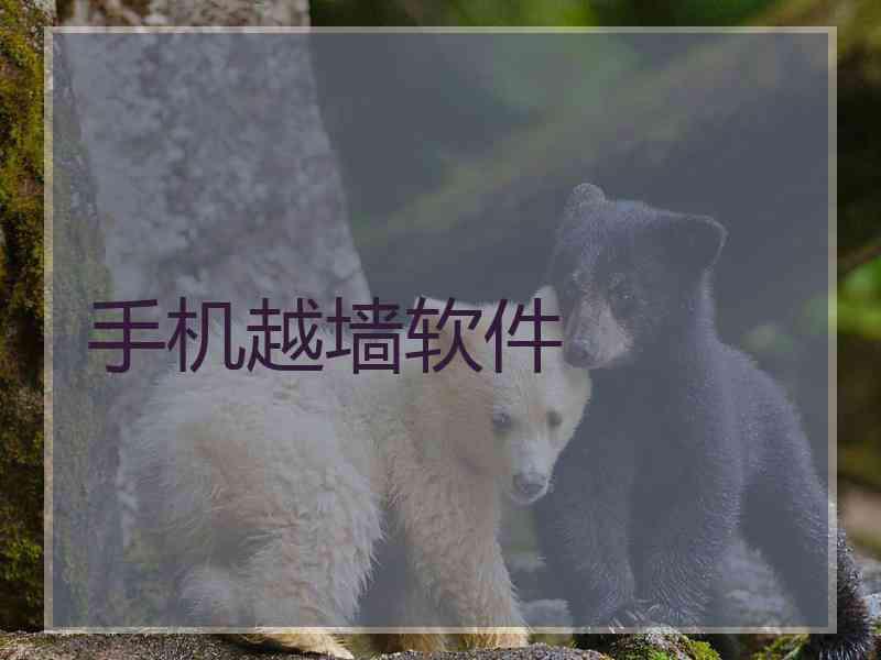手机越墙软件