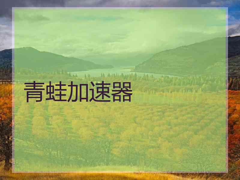 青蛙加速器