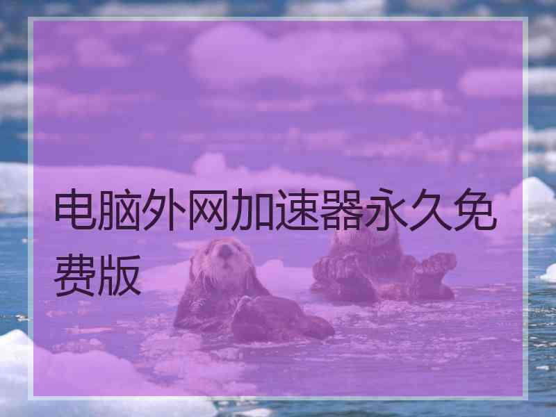 电脑外网加速器永久免费版