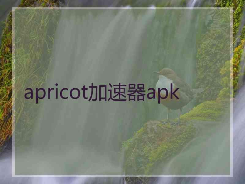 apricot加速器apk