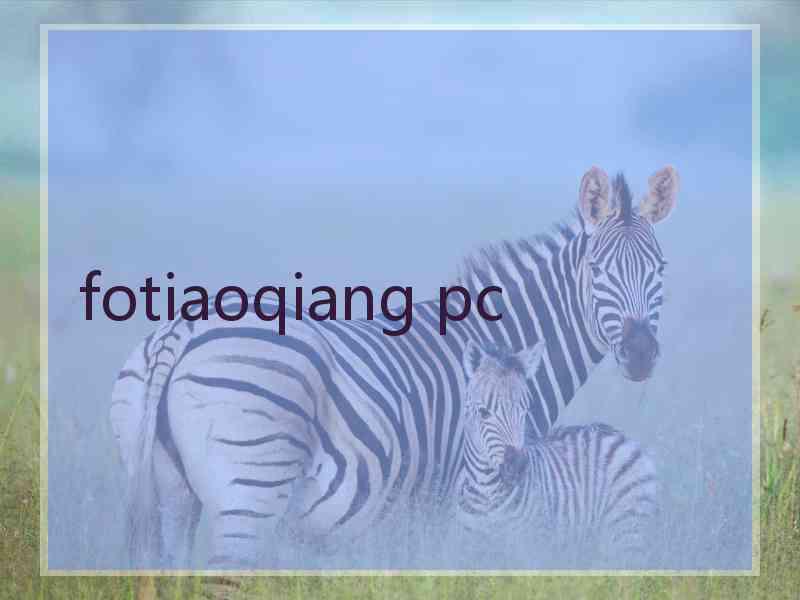 fotiaoqiang pc