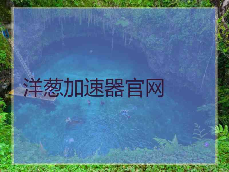 洋葱加速器官网