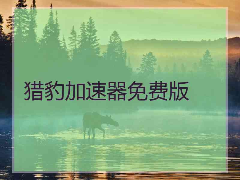 猎豹加速器免费版