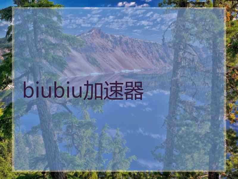biubiu加速器