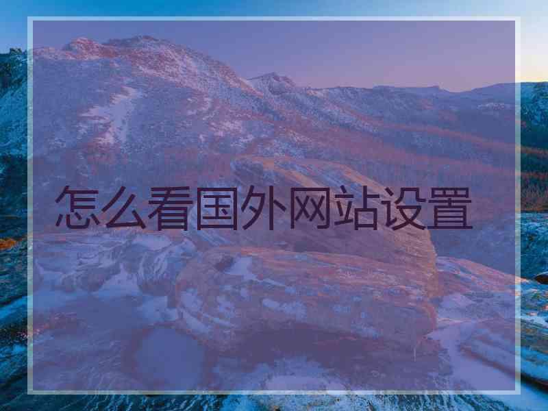 怎么看国外网站设置