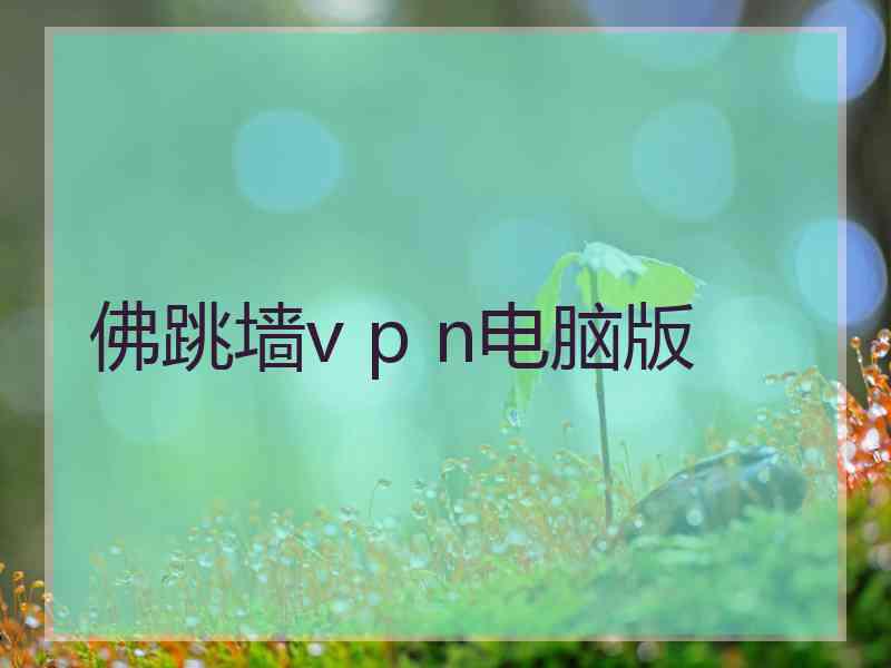 佛跳墙v p n电脑版