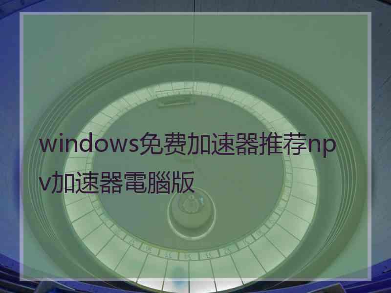 windows免费加速器推荐npv加速器電腦版