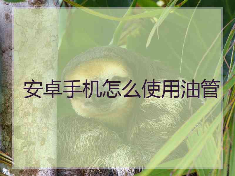 安卓手机怎么使用油管