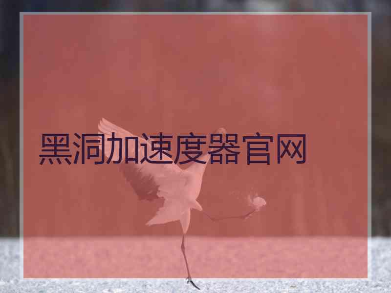 黑洞加速度器官网