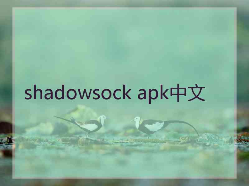 shadowsock apk中文