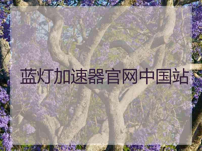 蓝灯加速器官网中国站