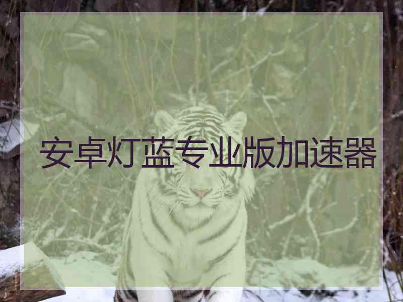 安卓灯蓝专业版加速器