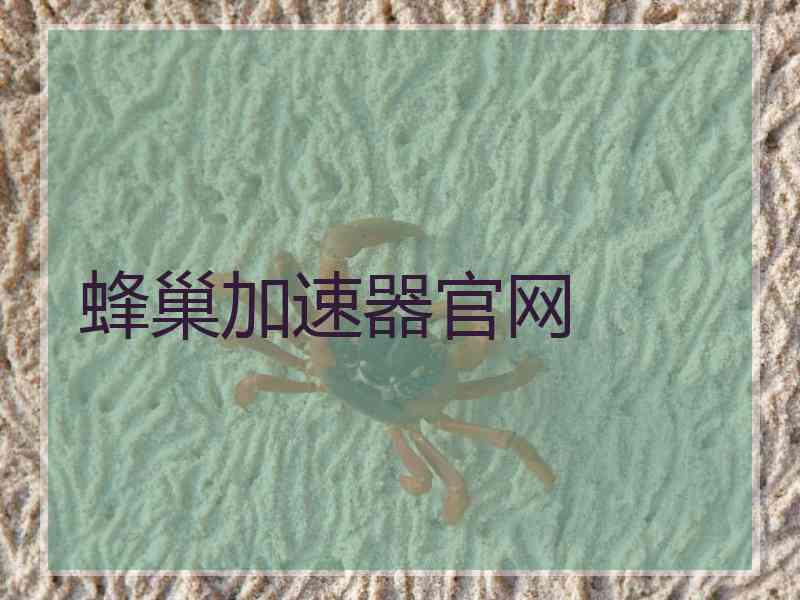 蜂巢加速器官网