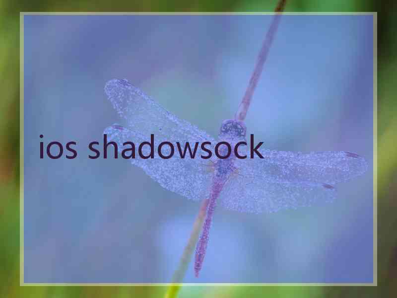 ios shadowsock