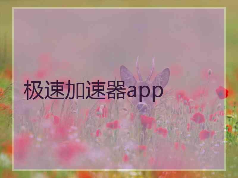 极速加速器app