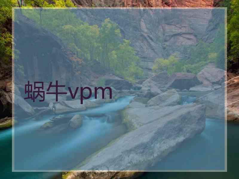 蜗牛vpm