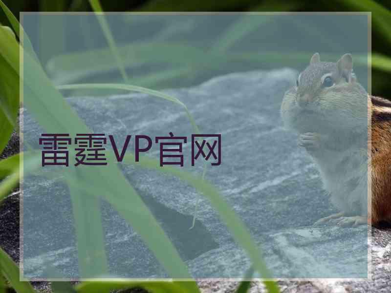 雷霆VP官网