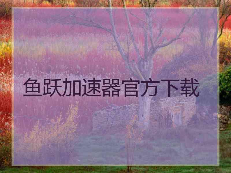 鱼跃加速器官方下载