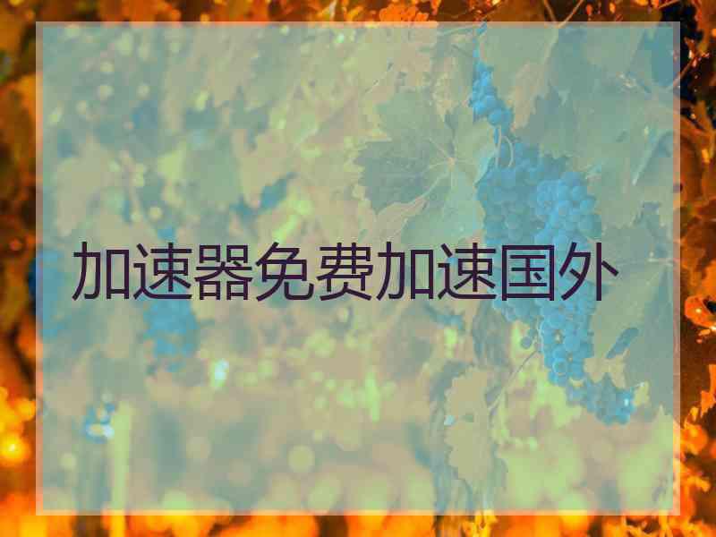 加速器免费加速国外