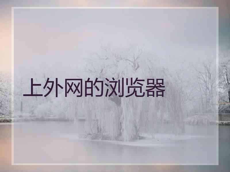 上外网的浏览器