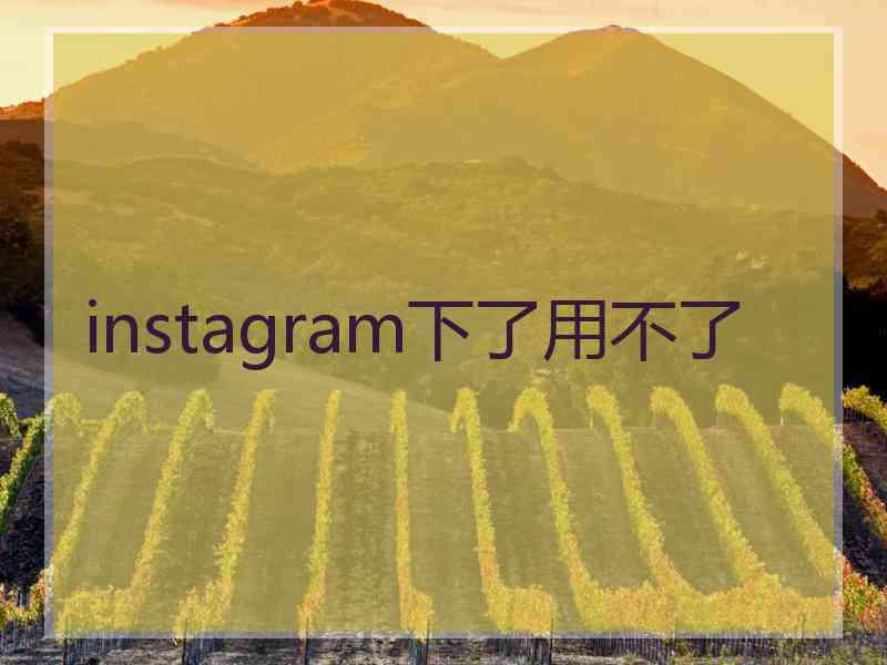 instagram下了用不了
