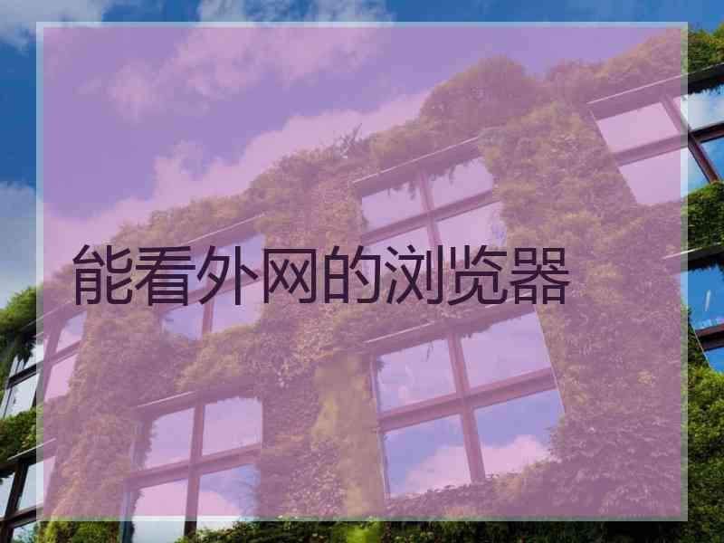 能看外网的浏览器