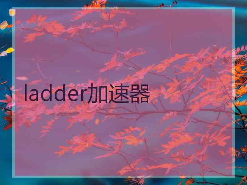 ladder加速器