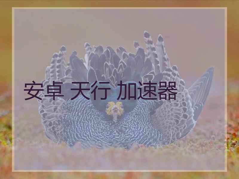 安卓 天行 加速器